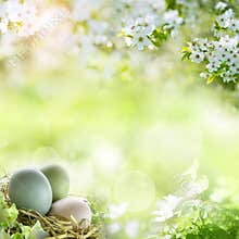Easter eggs with spring blossoms