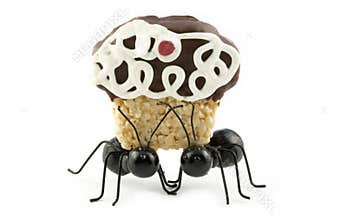 Black Ants Carrying Cupcake