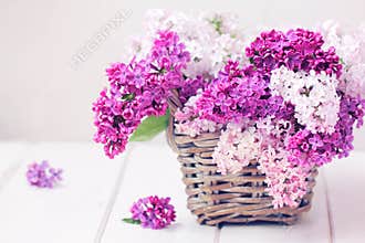 Lilac Flowers Bouquet in Wisker Basket