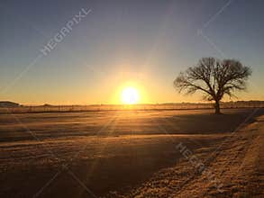 Sunday Sun Rise In Waco