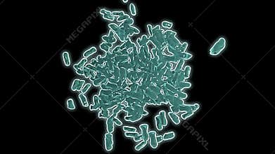 Cloning of bacteria, 3d animation