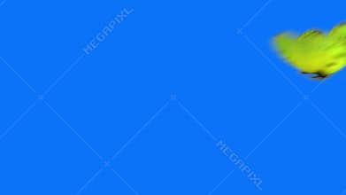 Green butterfly flying on a blue background