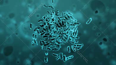 Cloning of Bacteria, beautiful 3d animation