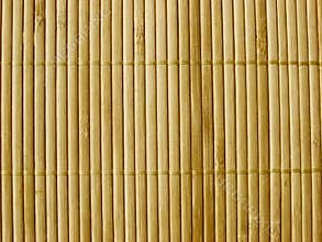 Bamboo texture #3