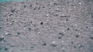 Large Drops of Rain Fall in a Puddle During a Rainstorm. Water Drops in Slow Motion.