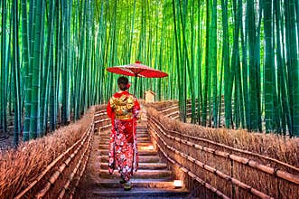 Bamboo Forest. Asian woman wearing japanese traditional kimono at Bamboo Forest in Kyoto, Japan