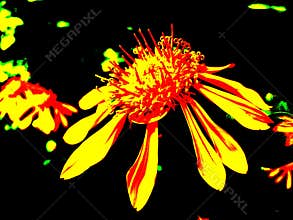 Fluorescent flower clipart