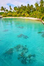 Blue Lagoon