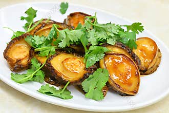 Chinese Abalone