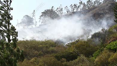 Bush Fire Panning