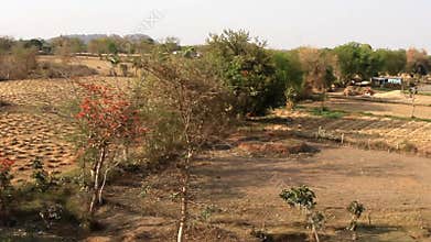 Cropping or crofting agriculture in India
