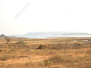 Landscape view of brown field and dry grass