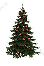 Christmas tree with red balls isolated on white