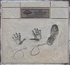 Daytona 500 Champions Walk Of Fame, Jimmie Johnson