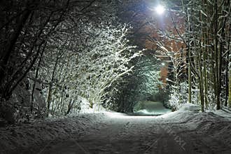 Winter road