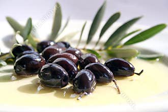 Olives and Olive Oil
