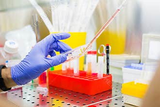 Laboratory work with tissue cultures