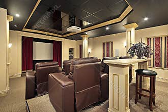 Home theater with colums