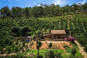 On the road to Da Lat, Lam Province, Vietnam