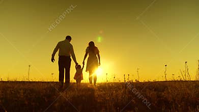 Dad and Mom hold the baby hands and walk across the field at golden sunset.