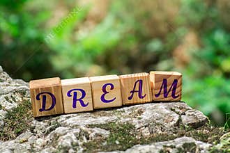 Word dream on stone