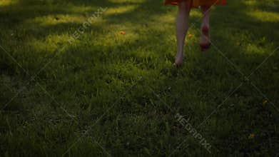 Lady`s feet running by grass in park, barefoot.