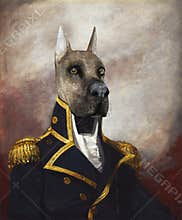 Funny Dog General, Commodore, Oil Painting