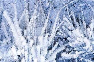 Winter background with natural white frost and ice