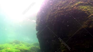 Underwater rock bottom of Lake Baikal.