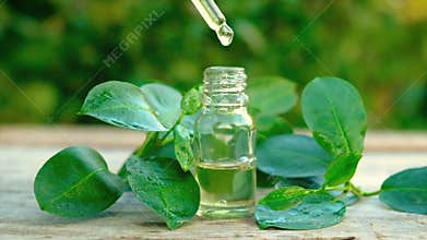 Tea tree essential oil in a small bottle. Selective focus.
