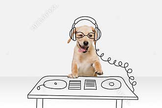 Artwork. One cute breed dog in image of disco dj isolated on white studio background with drawings. Mix photo and