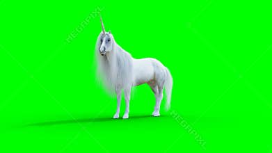 standing white magical unicorn. Green screen realistic animation.