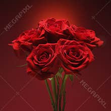 Bouquet of red roses.