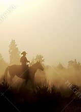 Cowboy in the Desert