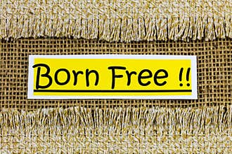 Born free lifestyle freedom choice free spirit hippie nomad
