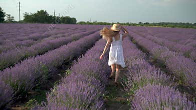 blonde girl running along the lavender field in a white dress and a straw hat in summer. lady among flowering lavender