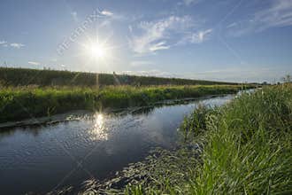 Malina water channel near Zohor village on Zahorie region