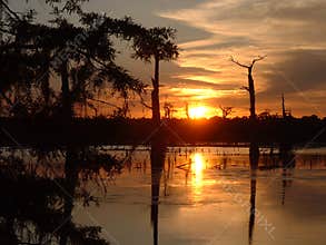 Sunset over swamp