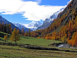 Alps in fall