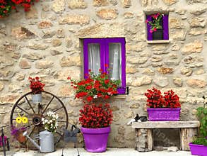 Tuscany, Italy, Picturesque scene with geranium flowers, sleeping cat and old stone wall