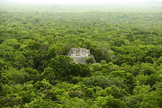 Mayan pyramids in Calakmul campeche mexico IV