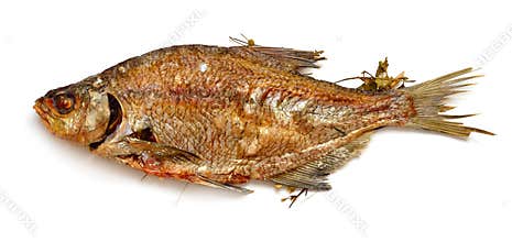 Long-cooked fish. Baked in a Russian oven on straw