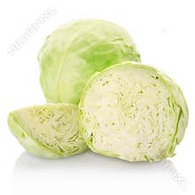 Cabbage