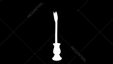 Time-lapse of opening Blushing Bride amaryllis in RGB + ALPHA matte format