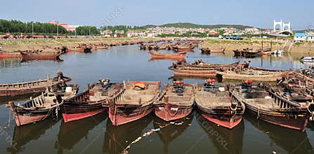 Fish boats