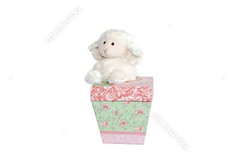 Lamb on the Box - Prepositional Phrases