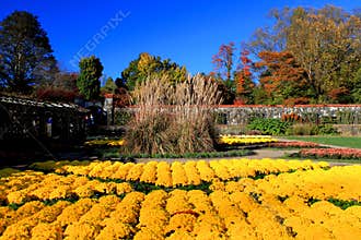 Biltmore Estate Flower Garden