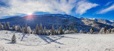 Mountain landscape winter - winter mountain panorama - alpine landscape with trees covered by snow and blue sky