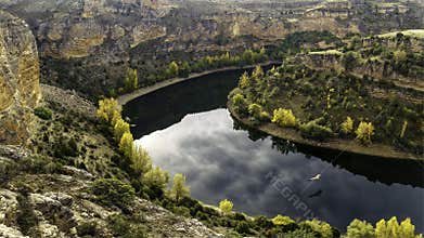 Flight of a vulture over the water of a canyoned river with green vegetation. Hoces Duraton River