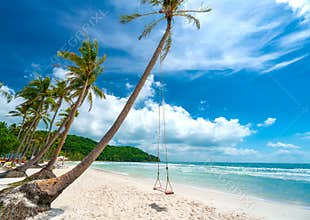 Swing attached to a palm tree in the idyllic Sao beach in Phu Quoc island